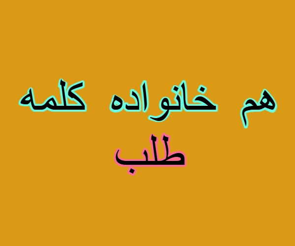 هم خانواده کلمه طلب + معنی ، مترادف و متضاد کلمه طلب