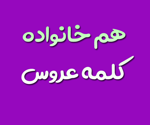 هم خانواده کلمه عروس + معنی و مترادف کلمه عروس