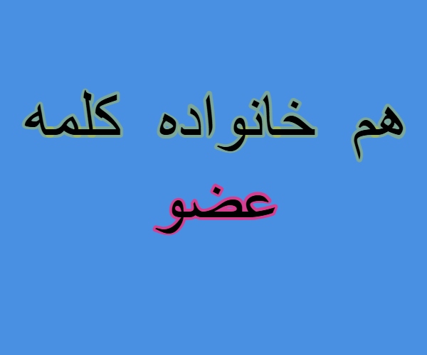 هم خانواده کلمه عضو