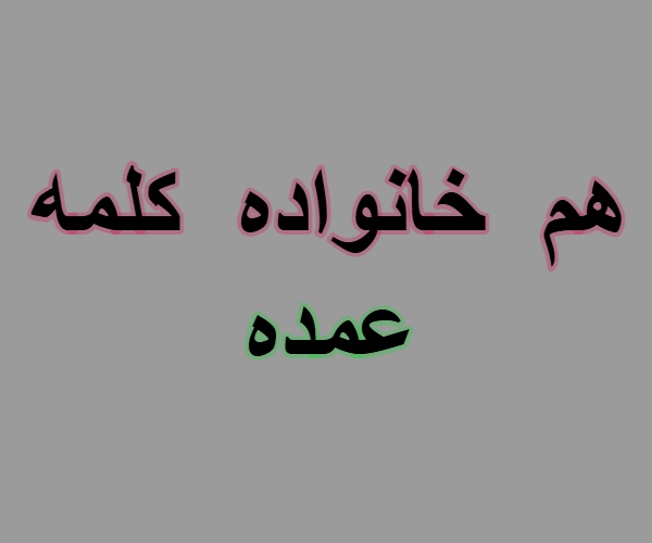هم خانواده کلمه عمده