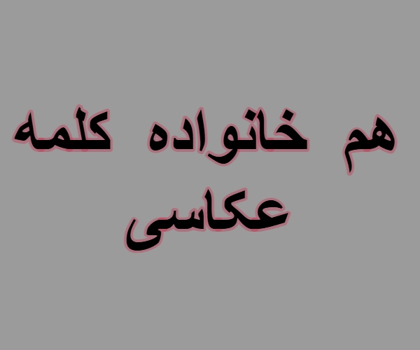 هم خانواده کلمه عکاسی + مترادف و معنی کلمه عکاسی