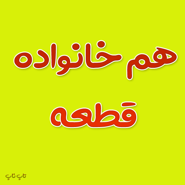 هم خانواده کلمه قطعه + معنی و مترادف کلمه قطعه