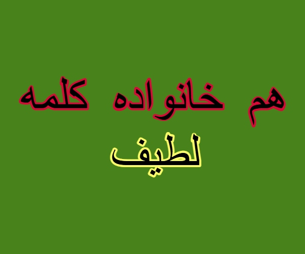 هم خانواده کلمه لطیف