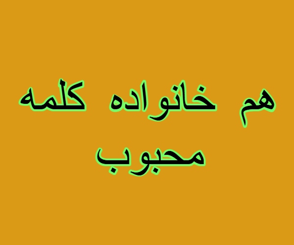 هم خانواده کلمه محبوب + معنی ، مترادف و متضاد کلمه محبوب