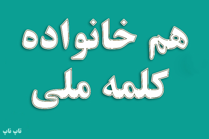هم خانواده کلمه ملی + معنی مترادف و متضاد کلمه ملی