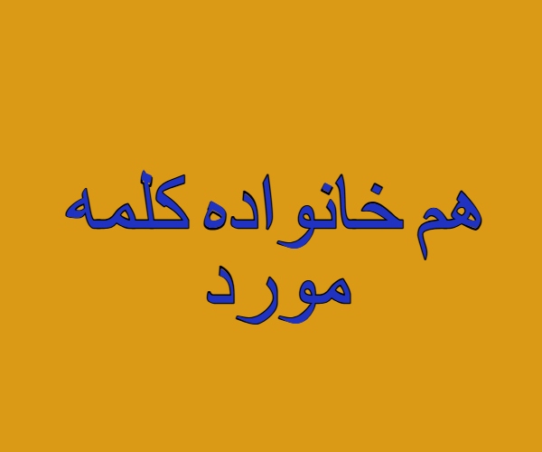 هم خانواده کلمه مورد