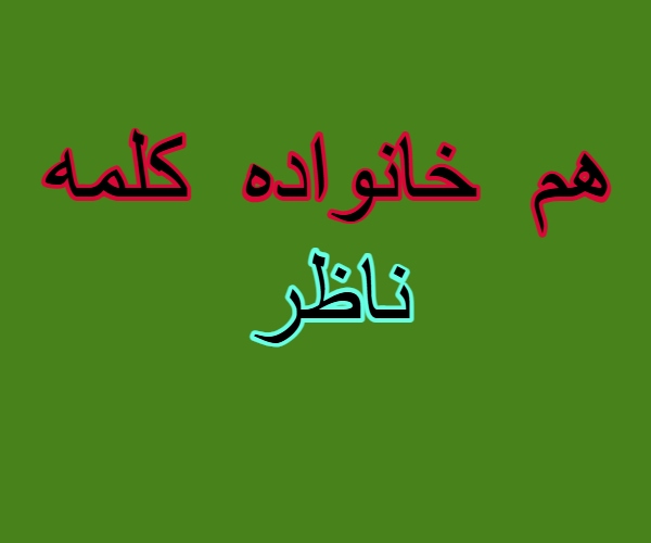 هم خانواده کلمه ناظر