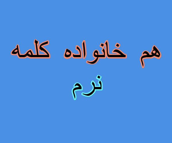 هم خانواده کلمه نرم