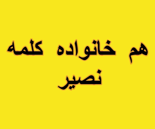 هم خانواده کلمه نصیر + مترادف و معنی کلمه نصیر
