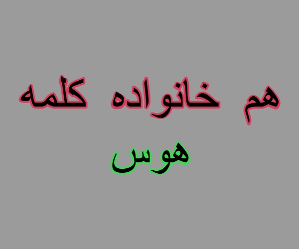 هم خانواده کلمه هوس + مترادف و معنی کلمه هوس