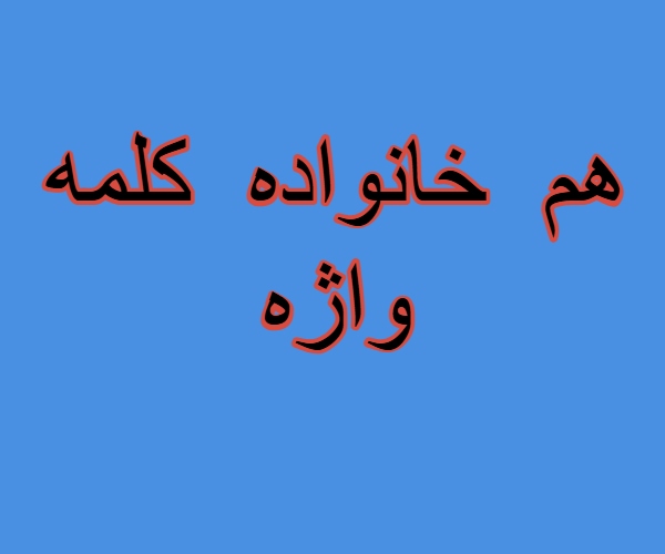 هم خانواده کلمه واژه + مترادف و معنی کلمه واژه