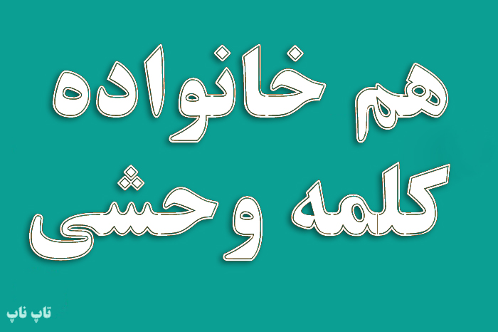 هم خانواده کلمه وحشی + معنی مترادف و متضاد واژه وحشی