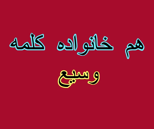 هم خانواده کلمه وسیع