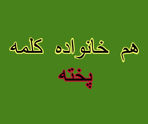 هم خانواده کلمه پخته