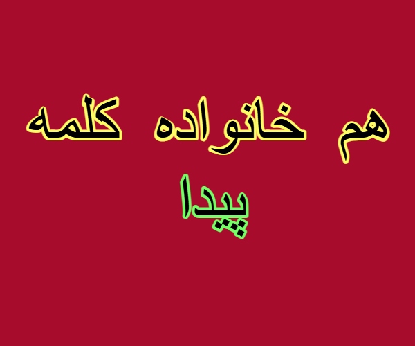 هم خانواده کلمه پیدا