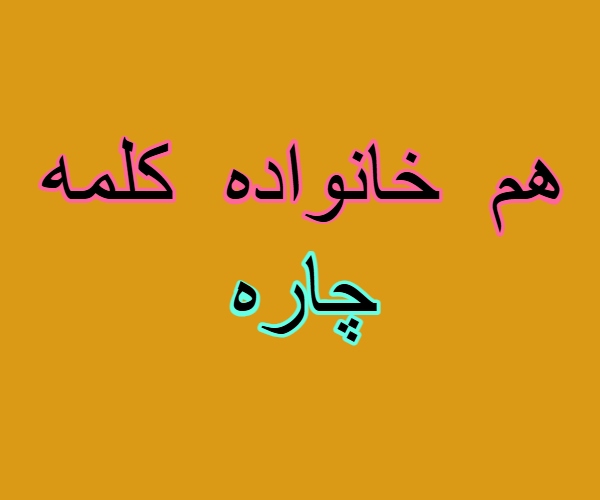 هم خانواده کلمه چاره
