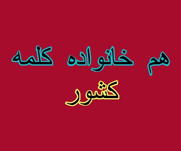 هم خانواده کلمه کشور