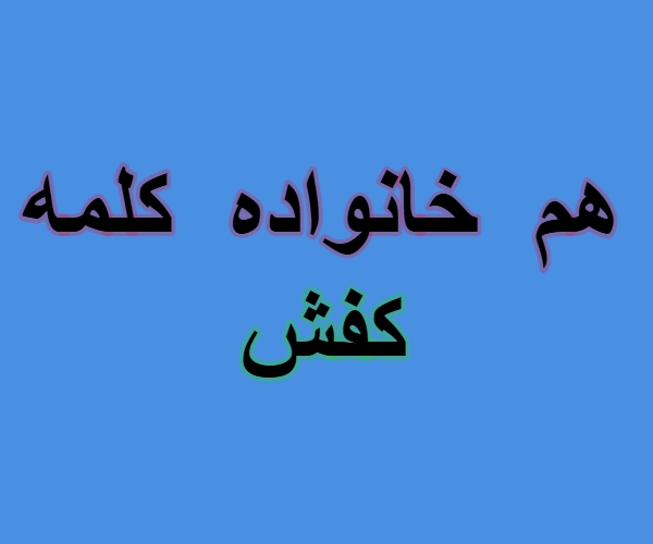 هم خانواده کلمه کفش + مترادف و معانی کلمه کفش
