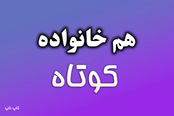 هم خانواده کلمه کوتاه