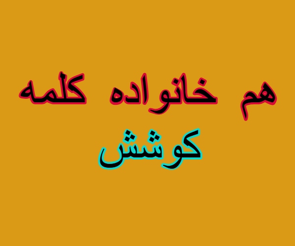 هم خانواده کلمه کوشش