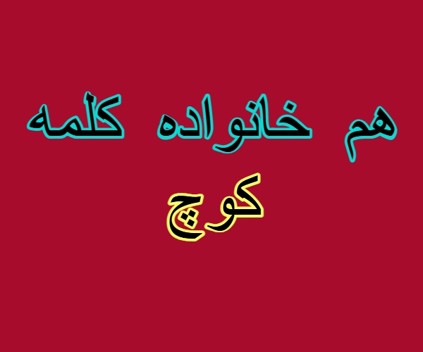 هم خانواده کلمه کوچ