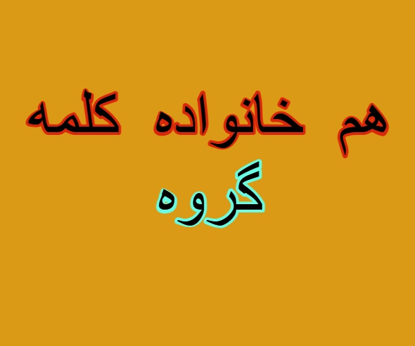 هم خانواده کلمه گروه