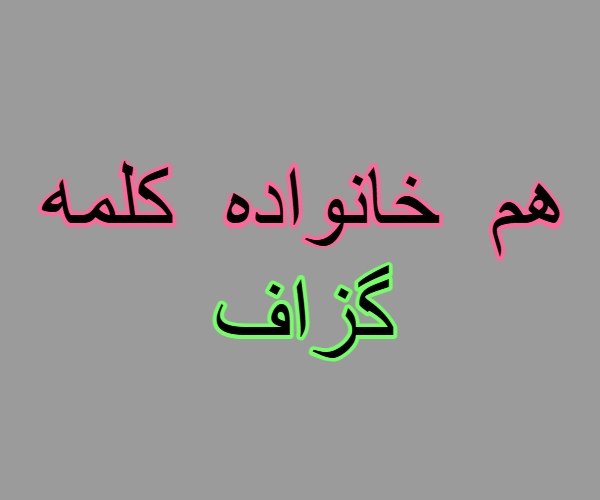 هم خانواده کلمه گزاف + مترادف و معنی کلمه گزاف