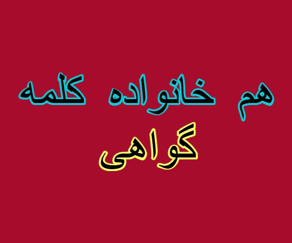 هم خانواده کلمه گواهی
