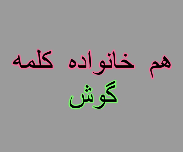 هم خانواده کلمه گوش + مترادف و معانی کلمه گوش
