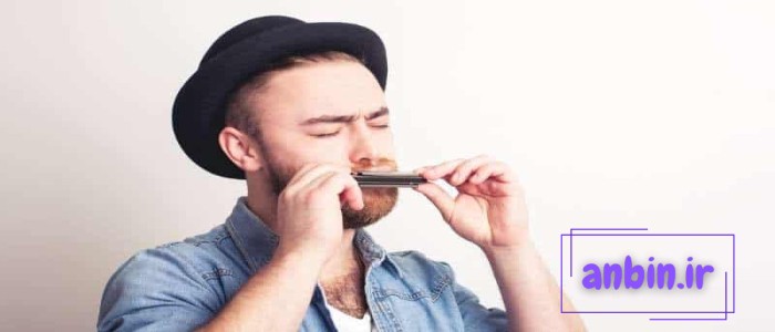 ۷ تا از حقایق جالب درباره ساز دهنی
