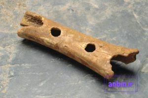 منشاء موسیقی به کجا باز میگردد