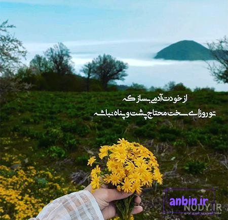 آلبوم عکس پروفایل بهاری دخترانه 2022 جدید - تــــــــوپ تـــــــــاپ