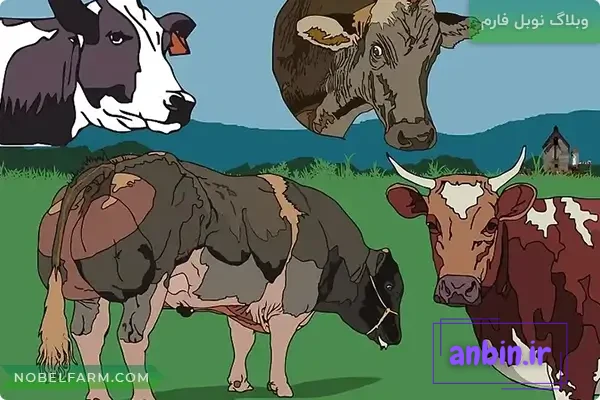 ایرون دات کام: بلاگ ها: یه مشت گاو علیه یه مشت خر