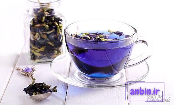 برداشت گل گاوزبان وحشی در ییلاقات استان گلستان