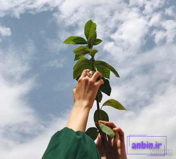 دختر عکس پروفایل دست رو به آسمان