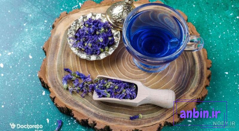 راهنمای کامل کاشت گل گاوزبان - بهترین مقالات کشاورزی | آموزش کشاورزی و  باغبانی و گیاهان آپارتمانی