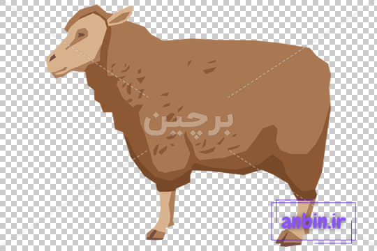 شوخی
