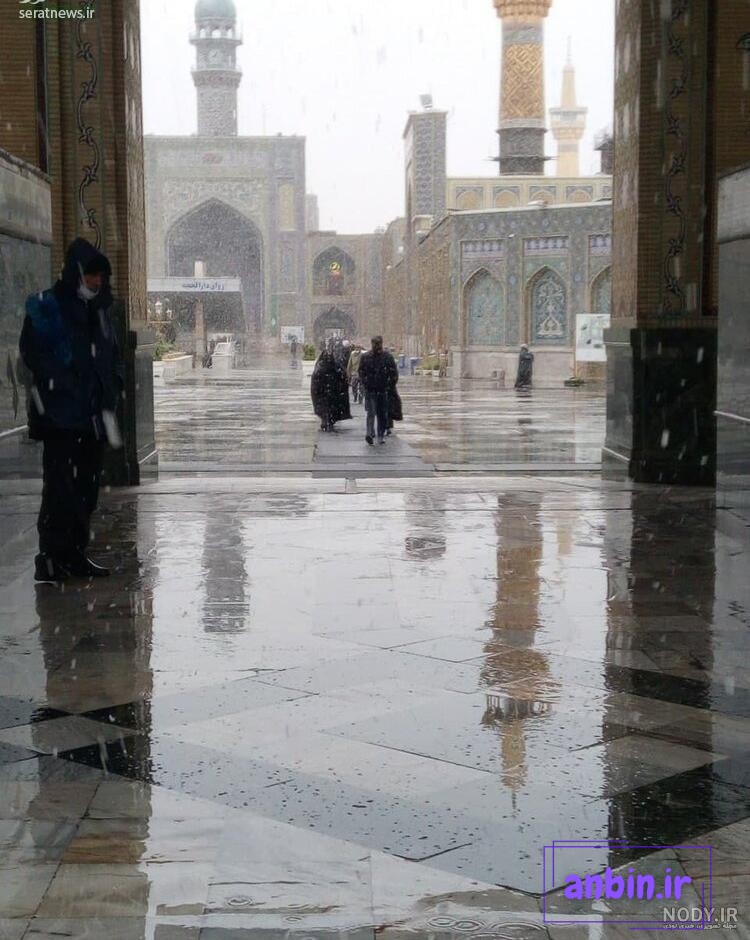 عکس حرم امام رضا برفی