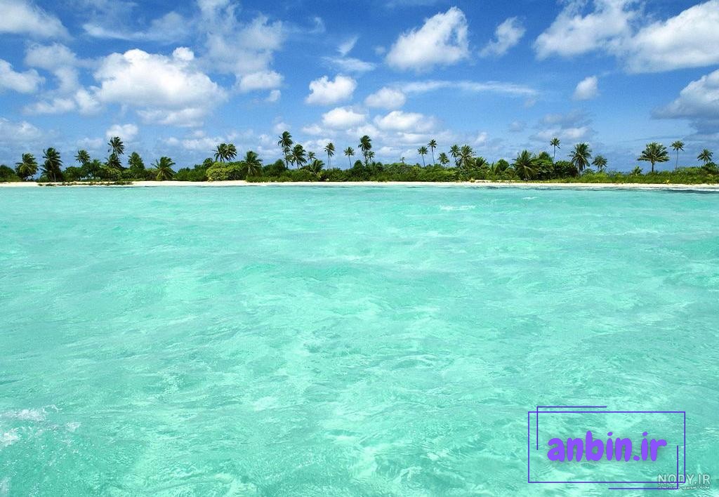 عکس طبیعت زیبا | عکس تصویر زمینه
