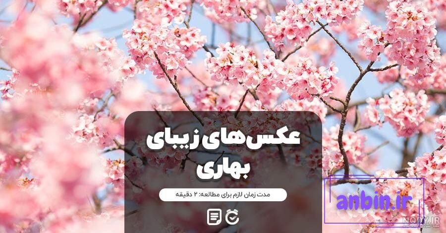 عکس پروفایل اسم بهار