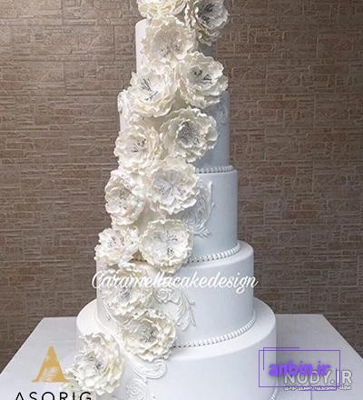 عکس کیک عروس و داماد یک طبقه