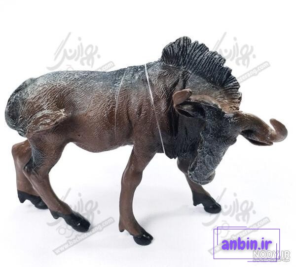 عکس گاو وحشی شاخ دار - عکس نودی