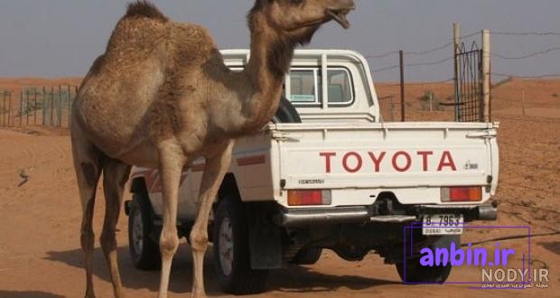 لیلی علوی &raquo;، &laquo; تاچر &raquo; و &laquo; مونیکا &raquo; خودروهای تند و تیزی که در خیابان های  سودان و ایران جولان می دهند | اسب بخار | مرجع تخصصی اخبار و ویدیوی خودرو