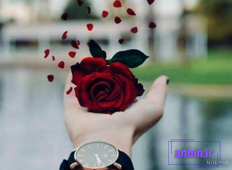۶۰ عکس پروفایل آسمان با منظره های بسیار زیبا و چشم نواز