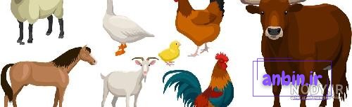 دانلود کاراکتر کارتونی گوسفند در دو حالت ساده و نقاشی شده ، مناسب برای کتاب  رنگ
