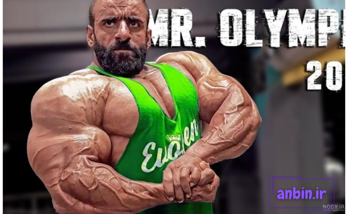 فیلم هدیه غافلگیر کننده دختر جوان به هادی چوپان / گرگ ایرانی چقدر ذوق کرد !